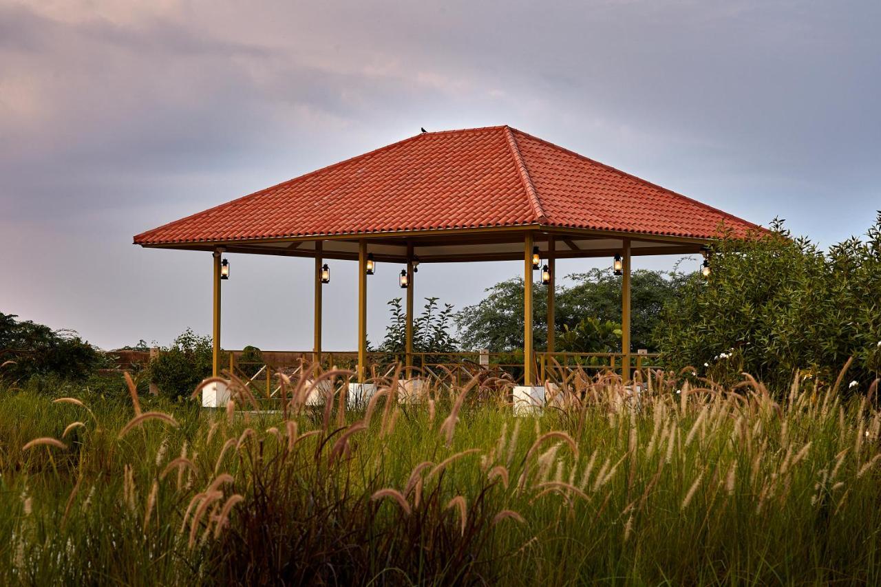 Blackbuck Safari Lodge Velavadar Bavliari Екстериор снимка