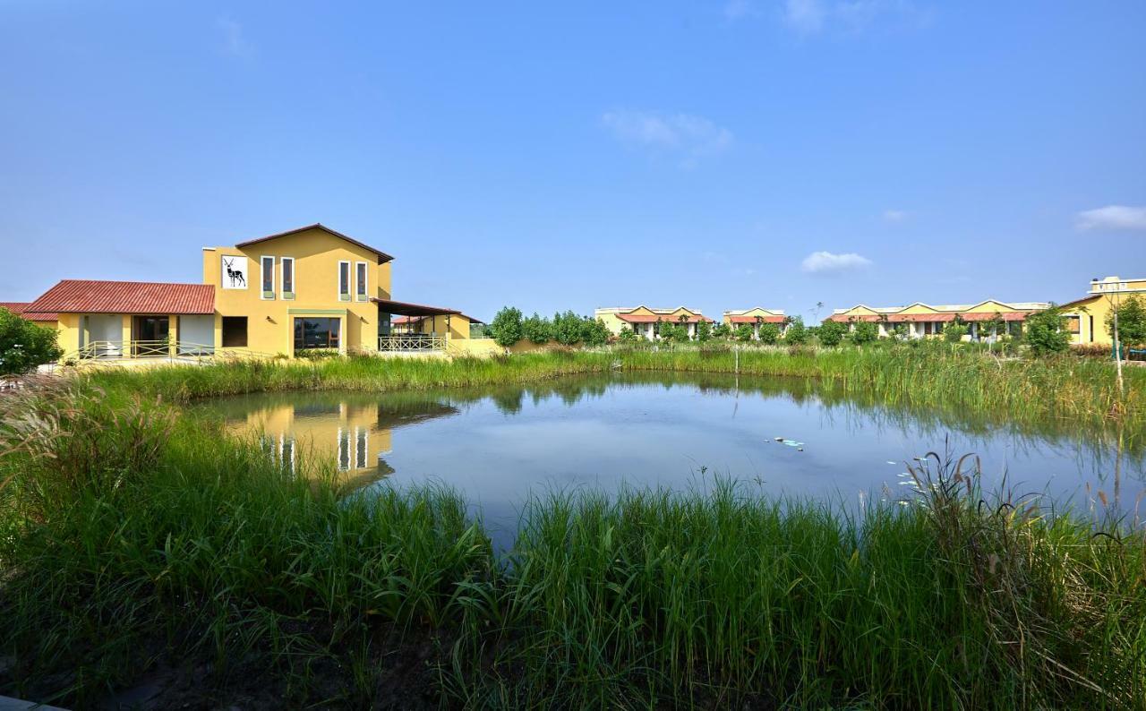 Blackbuck Safari Lodge Velavadar Bavliari Екстериор снимка